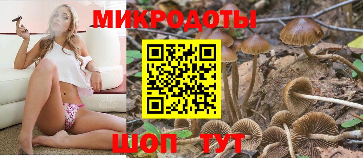 Гатчина  Псилоцибиновые грибы прущие грибы  Вход с VPN 