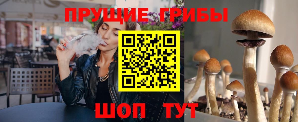 Галлюциногенные грибы мухоморы Гатчина